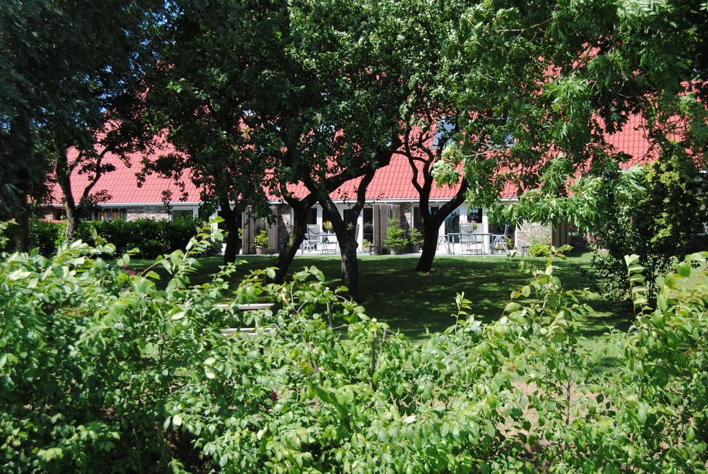 Appartementen Verhuur De Trijehoek Стінс Екстер'єр фото